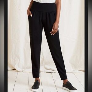 NWT Garnet Hill Women’s L Perfect Travel Pants Stretch Ankle Classic Tencel